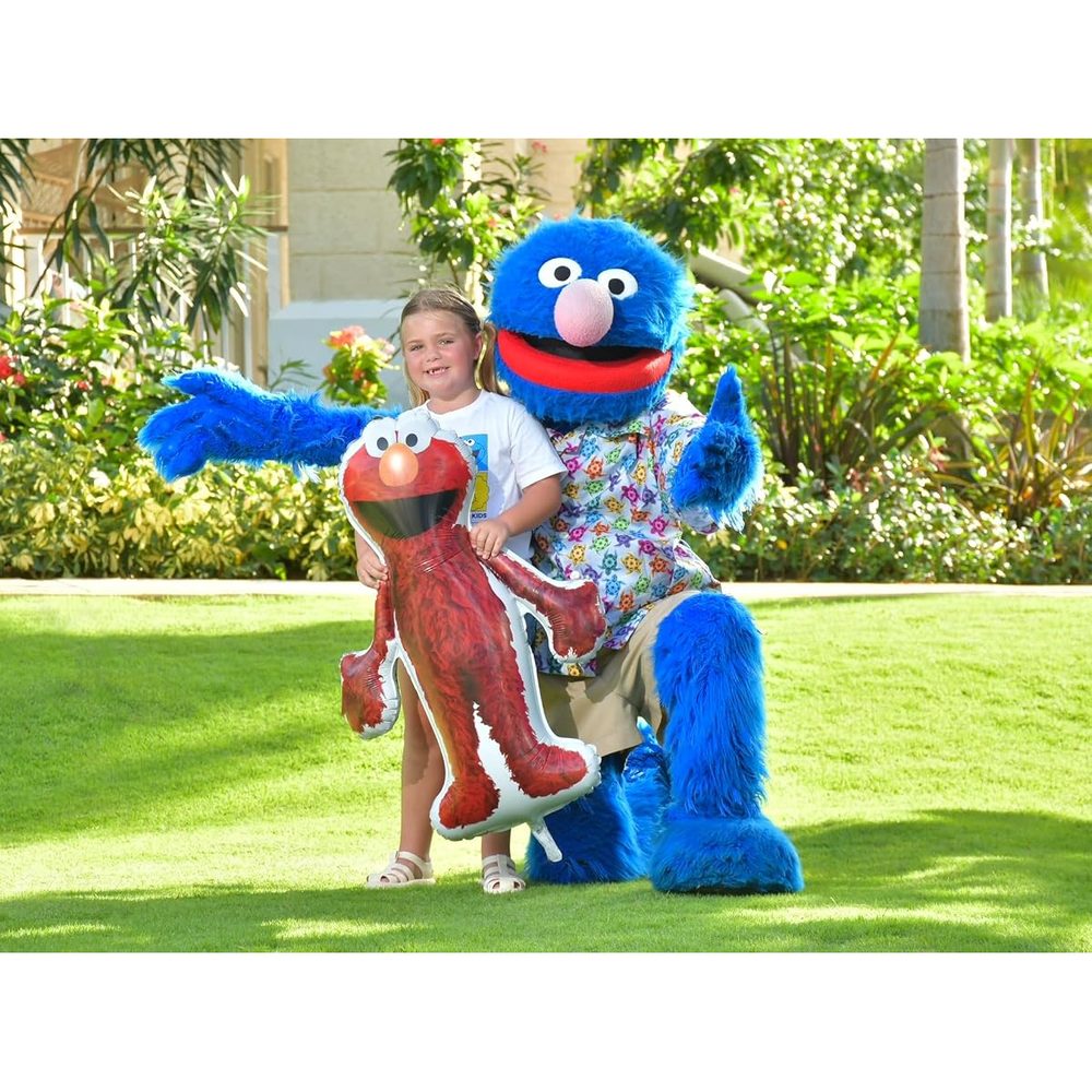 Toyland Big Bird, Elmo and Cookie Monster Foil Balloons, Pack of 3 photo 4